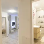 Apartma Downtown Spacious With Balcony - Two Bedroom With Balcony *