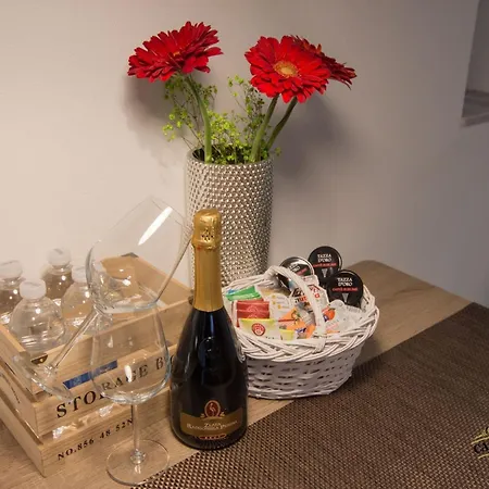 Downtown Spacious With Balcony - Two Bedroom With Balcony Lejlighed Koper