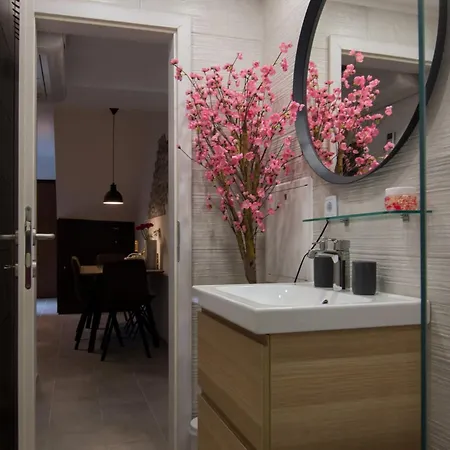 Downtown Spacious With Balcony - Two Bedroom With Balcony Koper